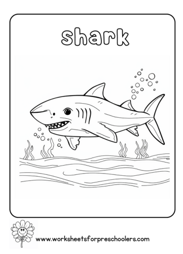 Ocean Animal Coloring Pages for Preschool